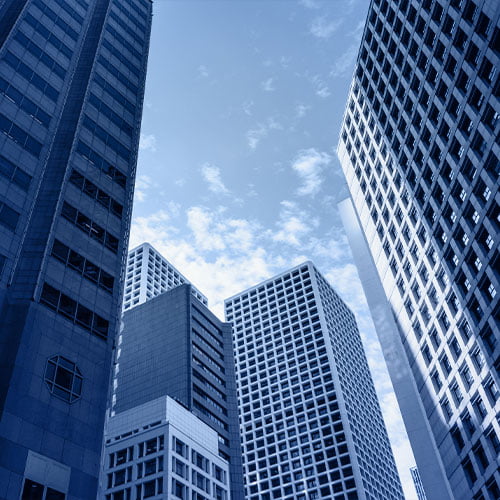 Other Industries bluezonecpa